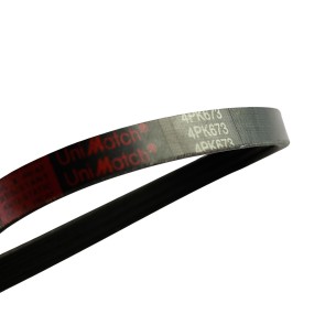 ACANALADA AUTO 4PK673 2