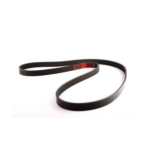 ACANALADA AUTO 6PK1555