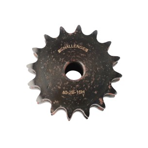 0402B16H PIÑON DOBLE