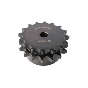 0502B16H PIÑON DOBLE 2