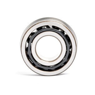 DOBLE HILERA CONTACTO ANGULAR 5309NR