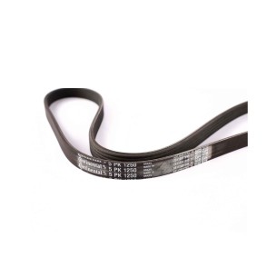 ACANALADA AUTO 5PK1250 BANDAS ACANALADAS 2