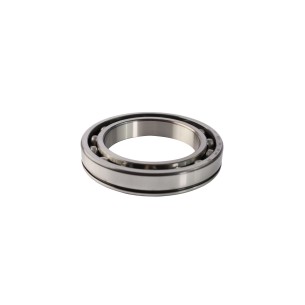 RODAMIENTO DE BOLAS RIGIDO 6020-N 2