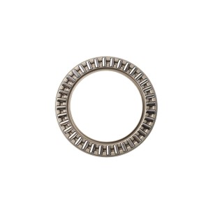 RODAMIENTO DE AGUJAS AXK4565-A/0-10