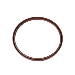 RETENEDOR 380-420-20 TC VITON 2