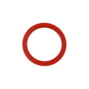 RETENEDOR 79-99-8 HTCL VMQ