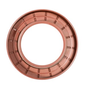 RETENEDOR 50-80-8/8.5 TC VITON 2