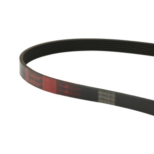 ACANALADA AUTO 6PK976 2