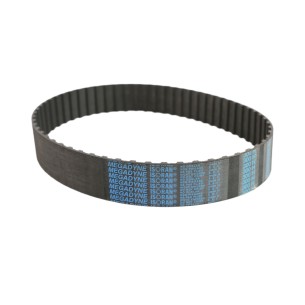 BANDA DE DISTRIBUCION 300H150 2