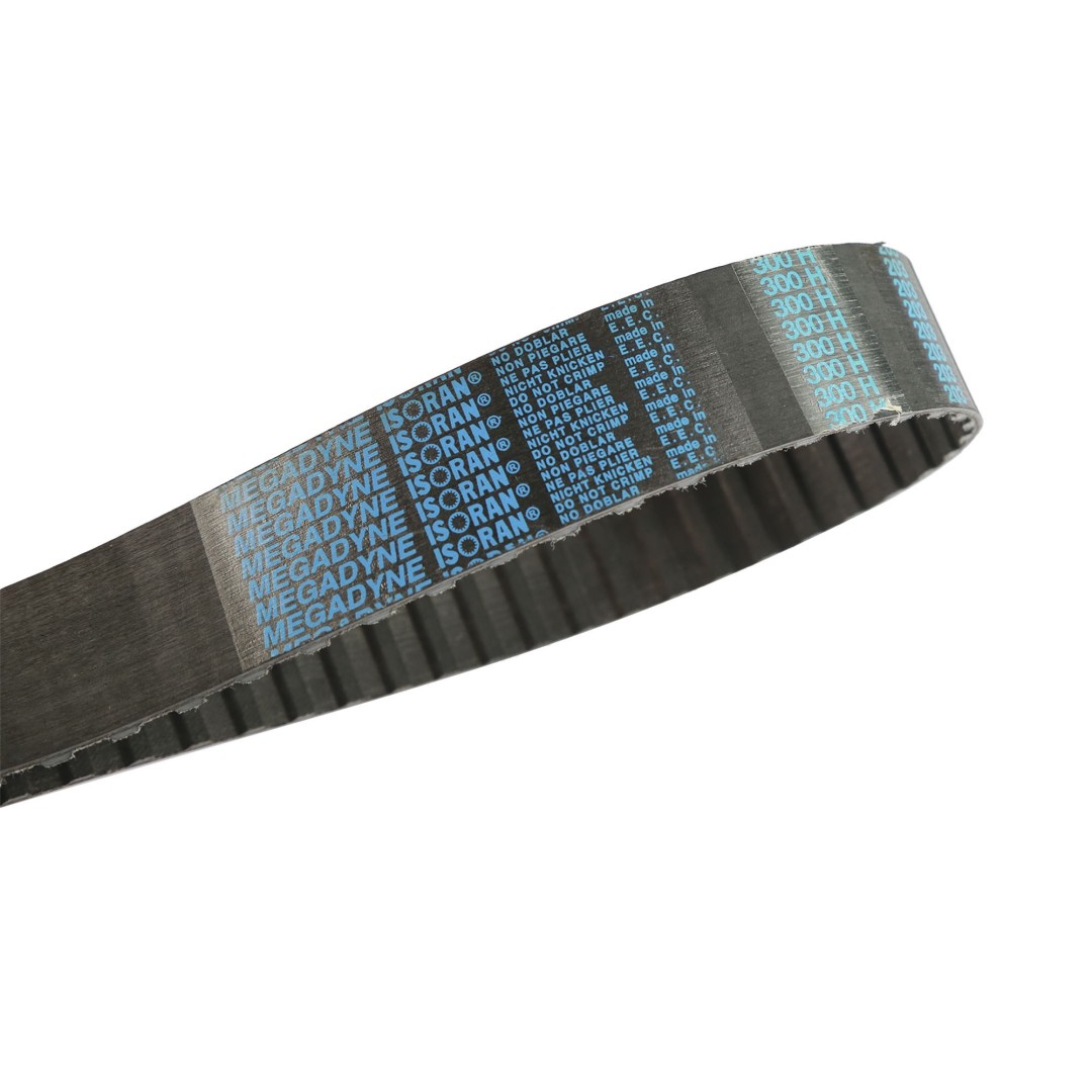 BANDA DE DISTRIBUCION 300H150