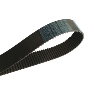 BANDA DE DISTRIBUCION 1200-8M-50 2